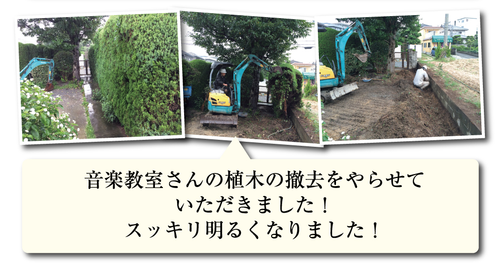 音楽教室さんの植木の撤去をやらせていただきました！スッキリ明るくなりました！