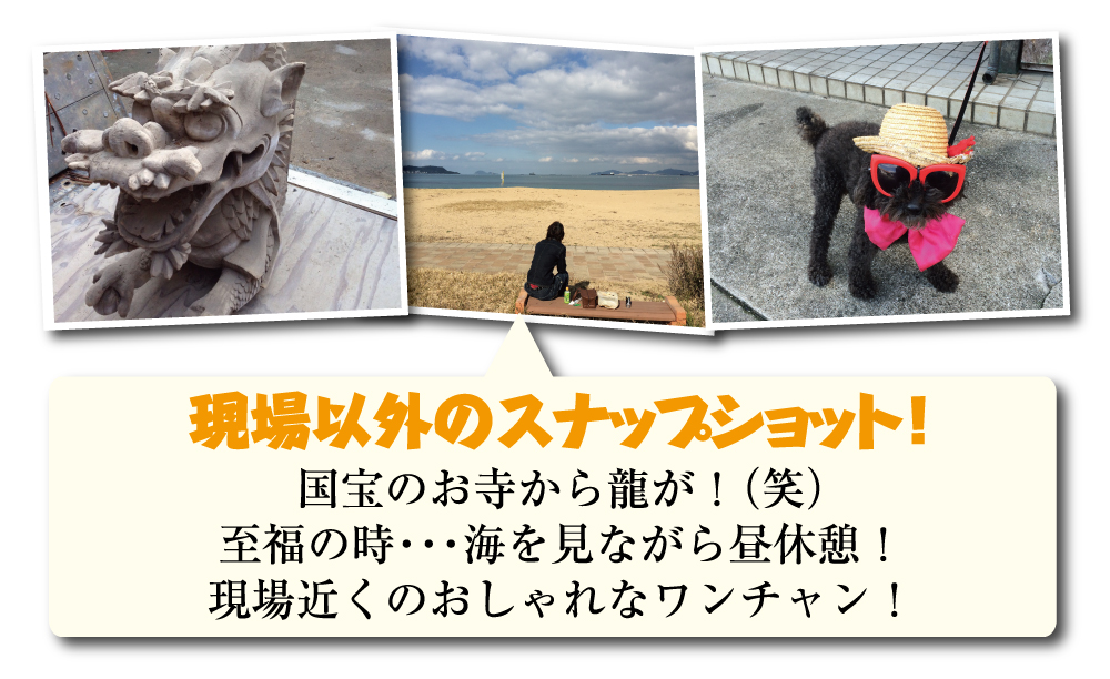 現場以外のスナップショット！「国宝のお寺から龍が！」「至福の時…海を見ながら昼休憩！」「現場近くのおしゃれなワンチャン！」